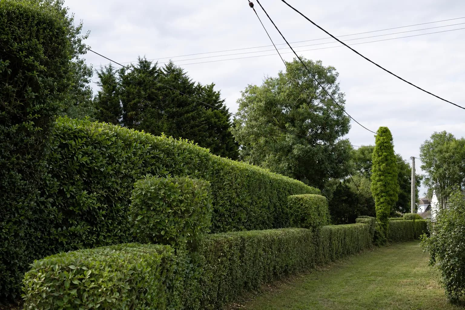 AI-created illustrative after view for Hedge & Edge Refresh
